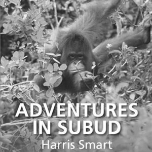 Adventures in Subud (ebook)